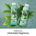 Alberto Balsam Tea Tree Tingle Shampoo 350Ml - Image 2