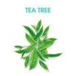 Alberto Balsam Tea Tree Tingle Shampoo 350Ml - Image 3