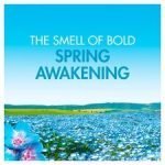 Bold All In One Washing Pods Spring Awakening 51 Washes 989.4G - Image 4