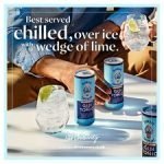 Bombay Sapphire Gin & Tonic 250Ml - Image 2