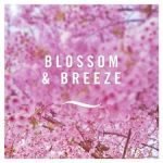 Febreze Ambi Pur 3Volution Blossom Breeze Refill 20Ml - Image 3