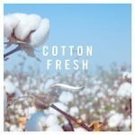 Febreze Ambi Pur 3Volution Starter Kit Cotton Fresh 20Ml - Image 3