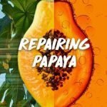 Garnier Ultimate Blends Rpairing Papaya Coconut S/Poo350ml - Image 3