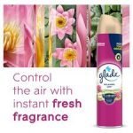 Glade Aerosol Relaxing Zen 300Ml - Image 3