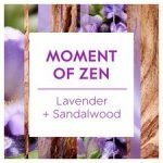 Glade Aromatherapy Refill Momentof Zen Lavender Sandalwood17.4Ml - Image 2