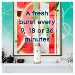 Glade Automatic Spray Refill Watermelon 269Ml - Image 3