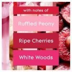Glade Sense And Spray Refill Peony& Cherry 18Ml - Image 2