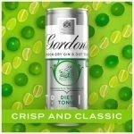 Gordon's Gin & Slimline Tonic 250Ml 4 Pack - Image 4