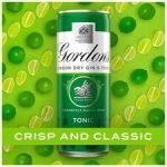 Gordon's Gin & Tonic 10 X 250Ml - Image 4
