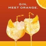 Gordons Gin Mediterranean Orange 70Cl - Image 3
