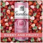 Gordon's Premium Pink Gin & Tonic Premix 4 X 250Ml - Image 4
