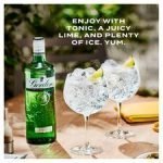 Gordon's Special Dry London Gin 70Cl Bottle - Image 2