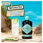 Hendrick's Neptunia Gin 70Cl - Image 4