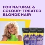John Frieda Sheer Blonde Colour Renew Shampoo 250Ml - Image 3