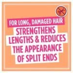 L'oreal Elvive Dream Lengths Hair Shampoo 400Ml - Image 2