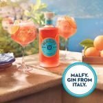 Malfy Con Arancia Blood Orange Gin 70Cl - Image 4