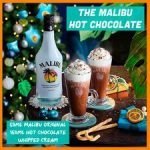 Malibu White Rum With Coconut 1L - Image 2
