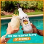 Malibu White Rum With Coconut 1L - Image 4