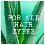 Maui Moisture Awapuhi Shampoo 385Ml - Image 4