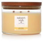 Natures Wick Multi Wick Candle Wild Honey