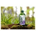 Original Source Plant-Based Lavender & Rosemary Body Wash 335Ml - Image 2
