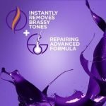 Provoke Brighten Plus Repair Intensive Purple Shampoo 200Ml - Image 3