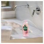 Radox Feel Detoxed Shower Gel 250Ml - Image 4