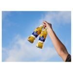 Stowford Press Apple Cider Low Alcohol 500Ml - Image 2