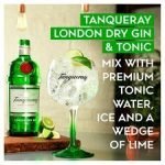 Tanqueray London Dry Gin 1L - Image 3