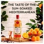 Tanqueray Sevilla Gin 70Cl - Image 4