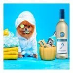 Barefoot Chardonnay 75Cl - Image 2