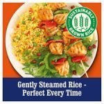 Ben's Original Golden Vegetable Microwave Rice 250G - Image 3