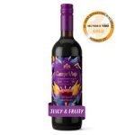 Campo Viejo Winemakers Blend 750Ml