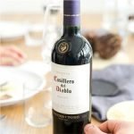 Casillero Del Diablo Merlot 75Cl - Image 2