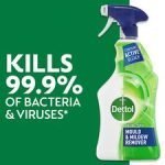 Dettol Antibacterial Mould & Mildew Remover Spray 750Ml - Image 2