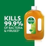 Dettol Antiseptic Disinfectant Liquid 750 Ml - Image 2