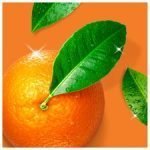 Flash Kitchen Cleaning Spray Citrus 800Ml - Image 2
