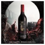 Jacob's Creek Double Barrel Shiraz - Image 3