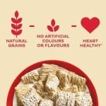 Kellogg's Frosted Wheats 500G - Image 2