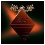 Lindt Excellence Dark 70% Cocoa Chocolate Bar 100G - Image 3