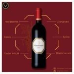 Vergelegen Cabernet Sauvignon Merlot 750Ml - Image 2