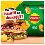 Walkers Variety Ready Salted &Vngr Crisps 12X25g - Image 4